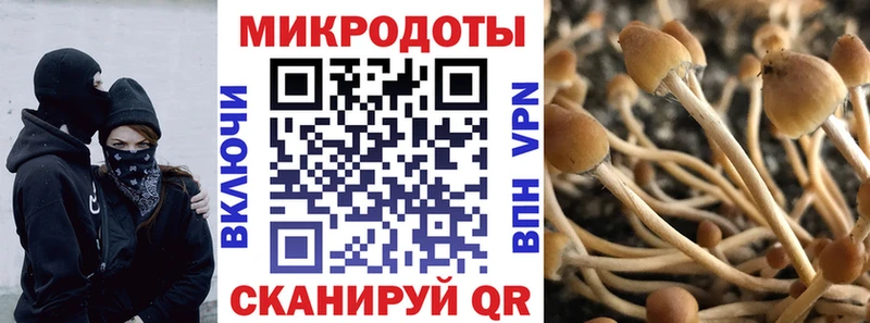 Псилоцибиновые грибы мухоморы  магазин  наркотиков  Богучар 